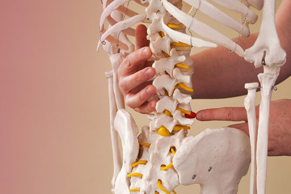 Osteopatia: cuidar do corpo e do bem-estar de forma integrada